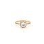 ROS  Jewel Design 14k gouden ring gezet met Briljanten