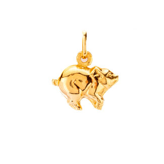 18k gouden hanger Varkentje