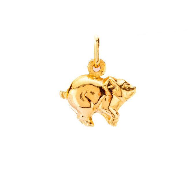 18k gouden hanger Varkentje