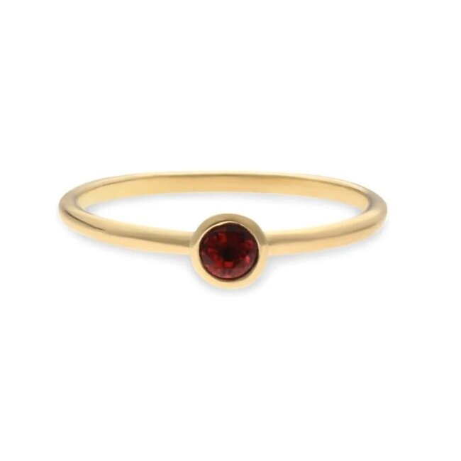 swing jewels 14k gouden ring  met Granaat