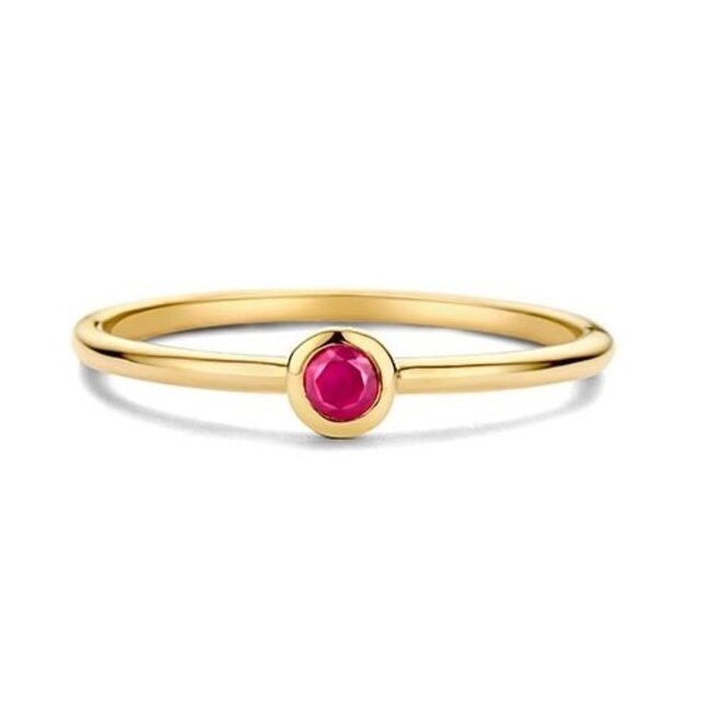 swing jewels 14k gouden ring met Robijn