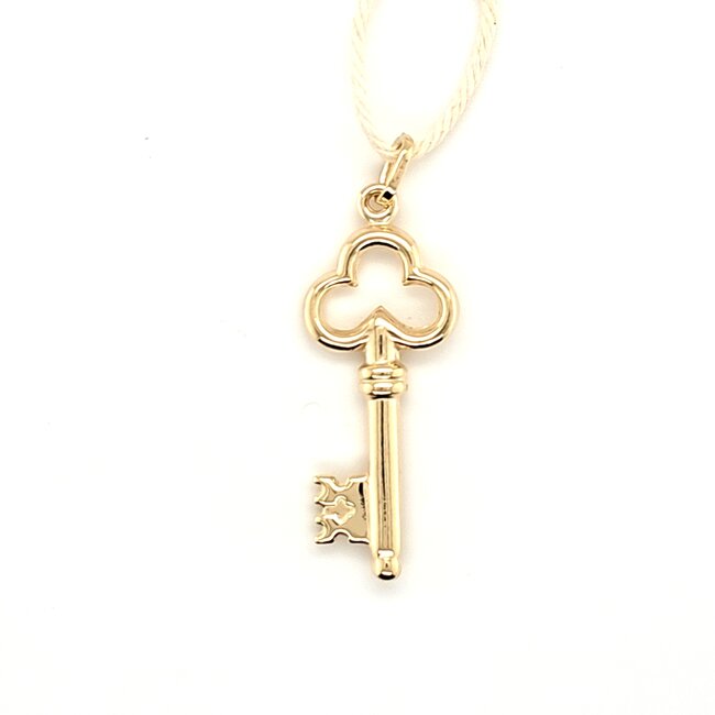 14k gouden hanger Sleutel