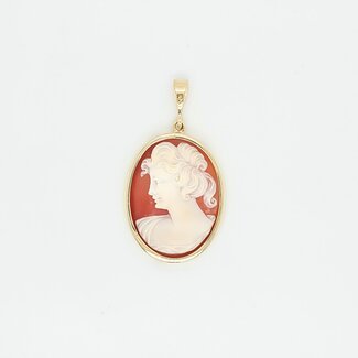 14k gouden hanger met een camee