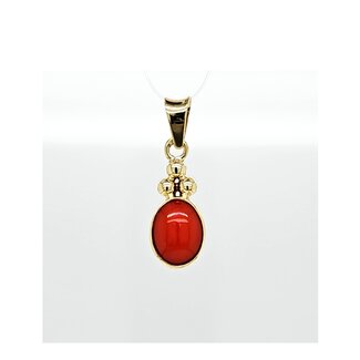O 14k hanger met Bloedkoraal 1.3gr