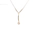 14k bicolor gouden choker met Roosdiamant