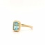 ROS  Jewel Design 14k gouden ring met Aquamarijn
