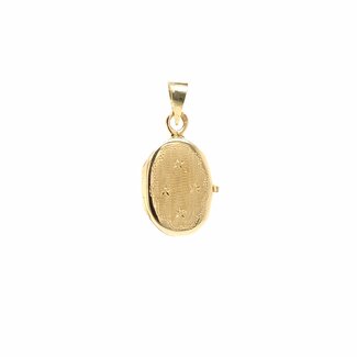 Occ 14k medaillon 2gram