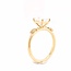 ROS  Jewel Design 14k gouden ring met Lab Grown Diamond en Briljant The Love Rock