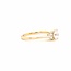 ROS  Jewel Design 14k ring LGD brilj1.05ct/0.18ctbrilj Snow White gewicht 3.3g mt 18.5 certi