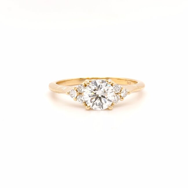 ROS  Jewel Design 14k gouden ring met Lab Grown Diamond  en Briljanten The Snow White