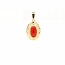 14k gouden hanger met bloedkoraal