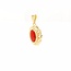 Occ 14k hanger met bloedkoraal 1.6gr