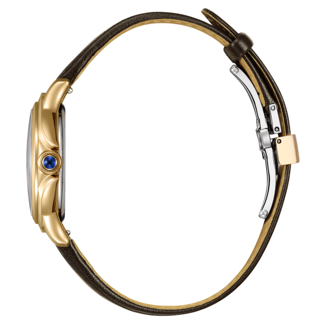 CITIZEN Dameshorloge. Bruine leren band. EM1163-09X