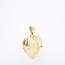 14k gouden medaillon hart