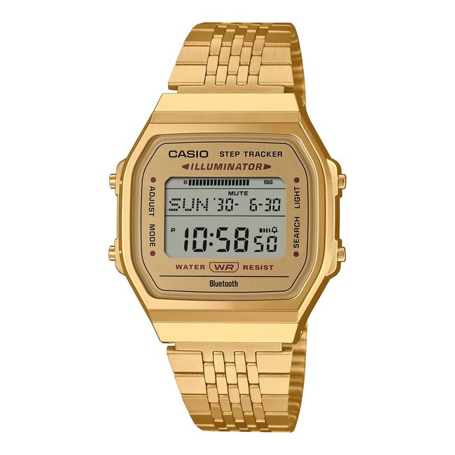 casio ABL-100WEG-9AEF