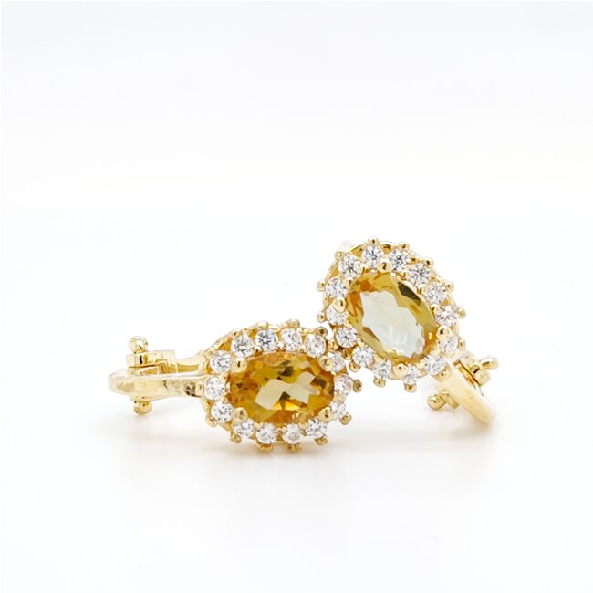 14k gouden oorbellen met Peridot en zirkonia