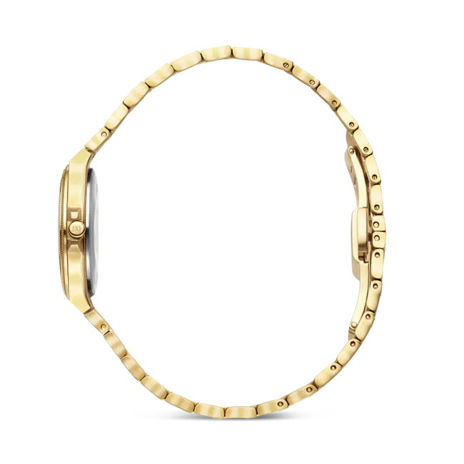 Danish Design  DKX Pro Husky Hazel S. IV87Q1303