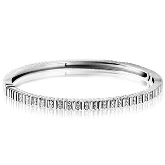 ZINZI Zinzi Slaven band Ribbel Zirk. ZIA2686