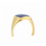 Vintage 14K. GG Zegelring met Saffier. 10,8 Gr. Mt22