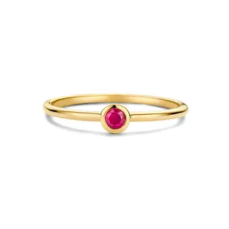 swing jewels 14K. geboortesteen Juli Robijn. Mt17