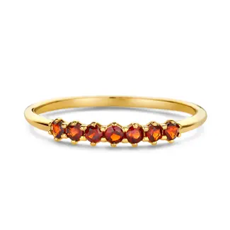 swing jewels 14K. Ring Granaat. Mt17