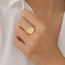 ROS  Jewel Design 14k zegelring