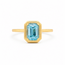 ROS  Jewel Design 14k gouden ring met Aquamarijn
