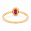 ROS  Jewel Design 18k ring Ruby Delight gezet met Robijn en Briljant