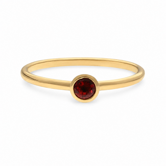swing jewels 14k gouden ring met Granaat