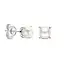 FJF FJF Oorstekers Classic Pearl. FJF0030090SPW