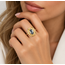 Ros Vintage 14Krt GG Hematiet ring 5gr
