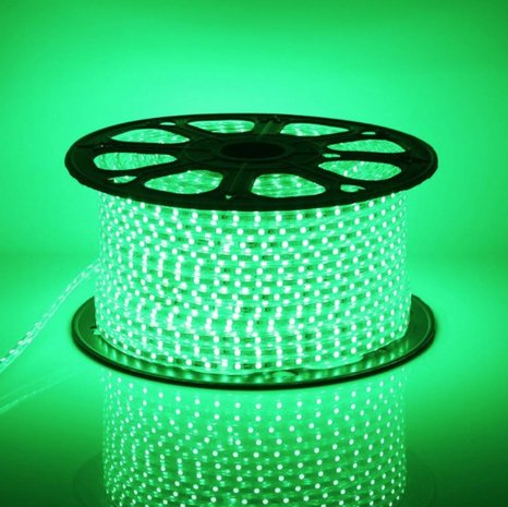 Aigostar LED Lichtslang V1 - 50M - Groen licht - Plug and Play