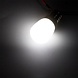 Spectrum LED koelkast lamp - E14 fitting - 2W vervangt 16W - Daglicht wit 6000K - 23x50mm Spectrum LED koelkast lamp - E14 fitting - 2W vervangt 16W - Daglicht wit 6000K - 23x50mm