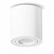 LED WiFi Plafondspot Wit Tube - 4,5W RGB + 3000K-6500K - Bedienen met de App LED WiFi Plafondspot Wit Tube - 4,5W RGB + 3000K-6500K - Bedienen met de App