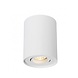 Braytron LED plafondspot - Tube rond - Wit - met GU10 fitting - kantelbaar - excl. LED spot