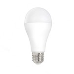 LED lamp - E27 fitting - 15W vervangt 120W - 6400K dag licht wit
