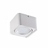 OP=OP LED Plafondspot TUBEO - GU10 AR111 - excl. LED spot - Mat wit