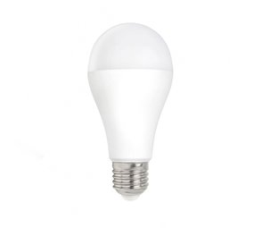 LED lamp - E27 fitting - 15W 120W - wit 6000K - Ledlichtdiscounter.nl