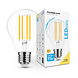 Modee Lighting LED Filament lamp dimbaar - E27 A60 8W - vervangt 75W - 2700K warm wit licht Modee Lighting LED Filament lamp dimbaar - E27 A60 8W - vervangt 75W - 2700K warm wit licht