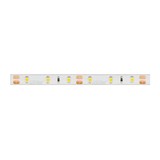 LED Line LED Strip 5 meter - 300 SMD3528 - Lichtkleur optioneel - 4,8W - 12V - IP65 - 8MM