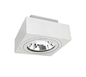 Spectrum LED Plafondspot MIRORA - 1xGU10 AR111 fitting - Kantelbaar - Wit Spectrum LED Plafondspot MIRORA - 1xGU10 AR111 fitting - Kantelbaar - Wit