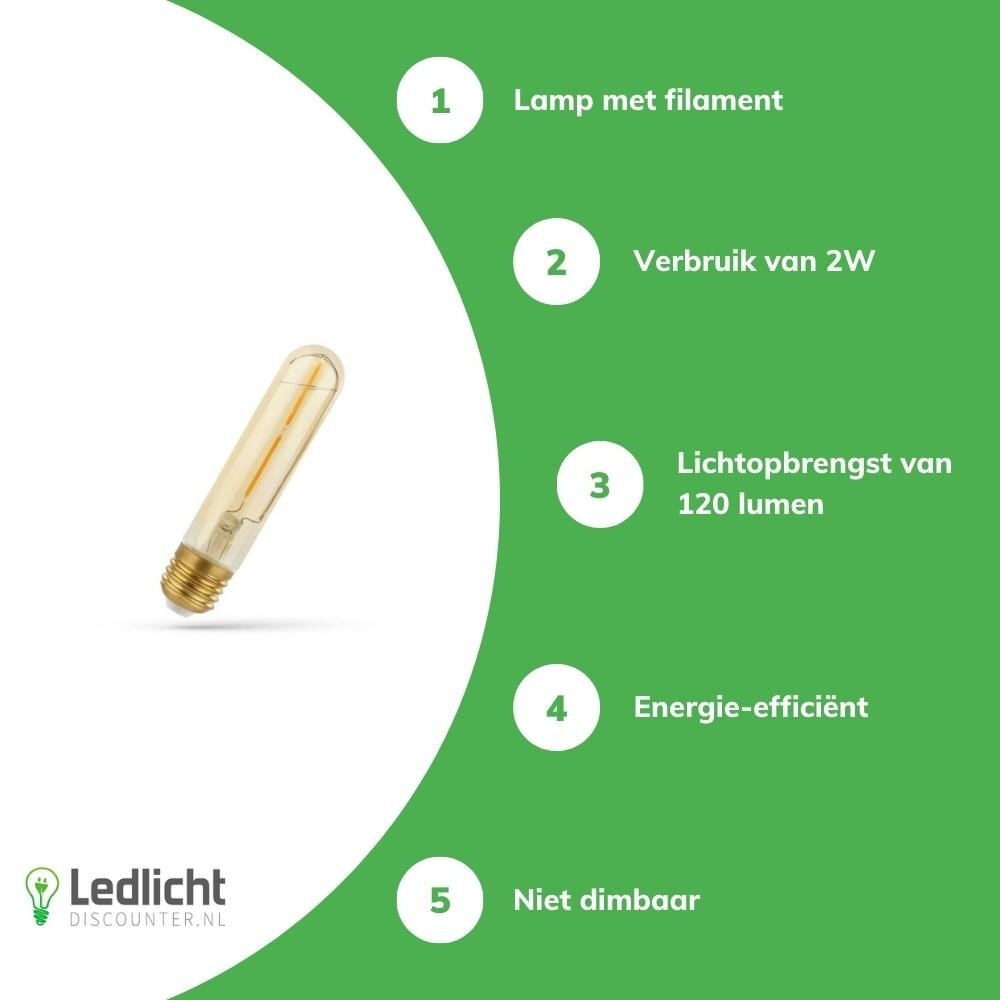 Spectrum LED Filament lamp E27 - T30 - 2W vervangt 25W - 2400K extra warm wit licht