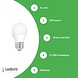 Spectrum LED lamp dimbaar - E27 fitting - 6W vervangt 40W - Warm wit licht 3000K Spectrum LED lamp dimbaar - E27 fitting - 6W vervangt 40W - Warm wit licht 3000K