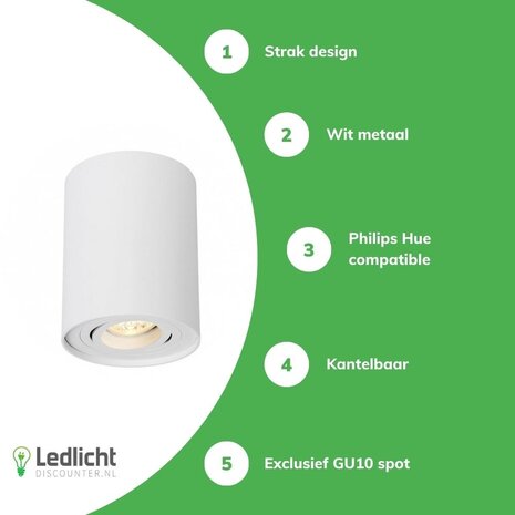 Spectrum OP=OP LED plafondspot - Tube rond - Wit - met GU10 fitting - kantelbaar - excl. LED spot Spectrum OP=OP LED plafondspot - Tube rond - Wit - met GU10 fitting - kantelbaar - excl. LED spot