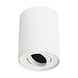 OP=OP LED plafondspot - Tube rond - Wit - met GU10 fitting - kantelbaar - excl. LED spot OP=OP LED plafondspot - Tube rond - Wit - met GU10 fitting - kantelbaar - excl. LED spot