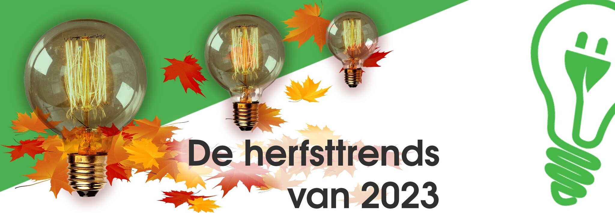 Herfsttrends van 2023 Herfsttrends van 2023