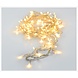 LED Kerstslinger - 320 LEDS - Transparant - 3000K warm wit licht - 24 meter - IP44 LED Kerstslinger - 320 LEDS - Transparant - 3000K warm wit licht - 24 meter - IP44