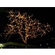 LED Kerstslinger - 9W 720 LEDS - 3000K warm wit licht - 54 meter - IP44 LED Kerstslinger - 9W 720 LEDS - 3000K warm wit licht - 54 meter - IP44