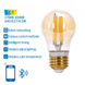 Aigostar Smart LED lamp - E27 G45 - 2700K-6500K - 4,5W - Bedienbaar met de App Aigostar Smart LED lamp - E27 G45 - 2700K-6500K - 4,5W - Bedienbaar met de App