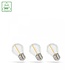 3-PACK LED Lamp G45 - E27 fitting - 1W Filament - 2700K warm wit licht 3-PACK LED Lamp G45 - E27 fitting - 1W Filament - 2700K warm wit licht